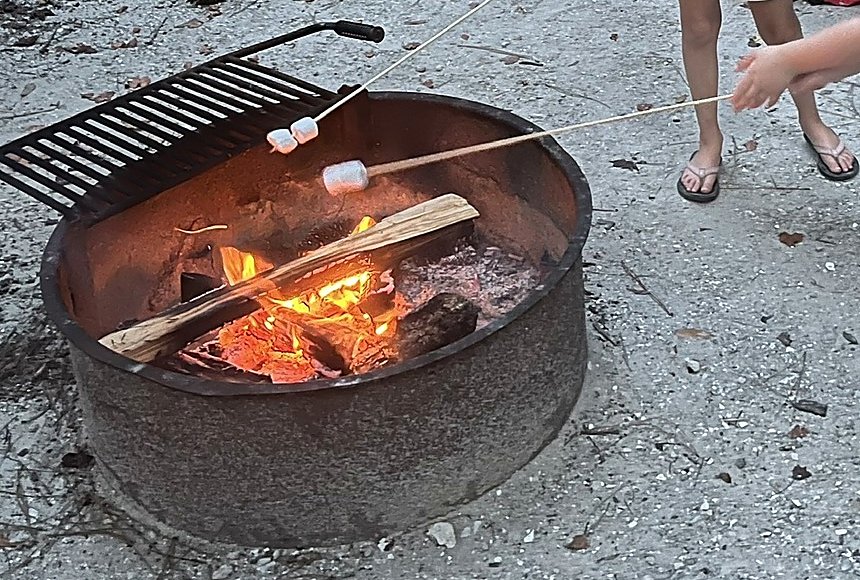 Marshmallows on roasting sticks over a campfire in a steel fire ring at a campsite in Blythe Island Regional Park, Brunswick, Georgia.