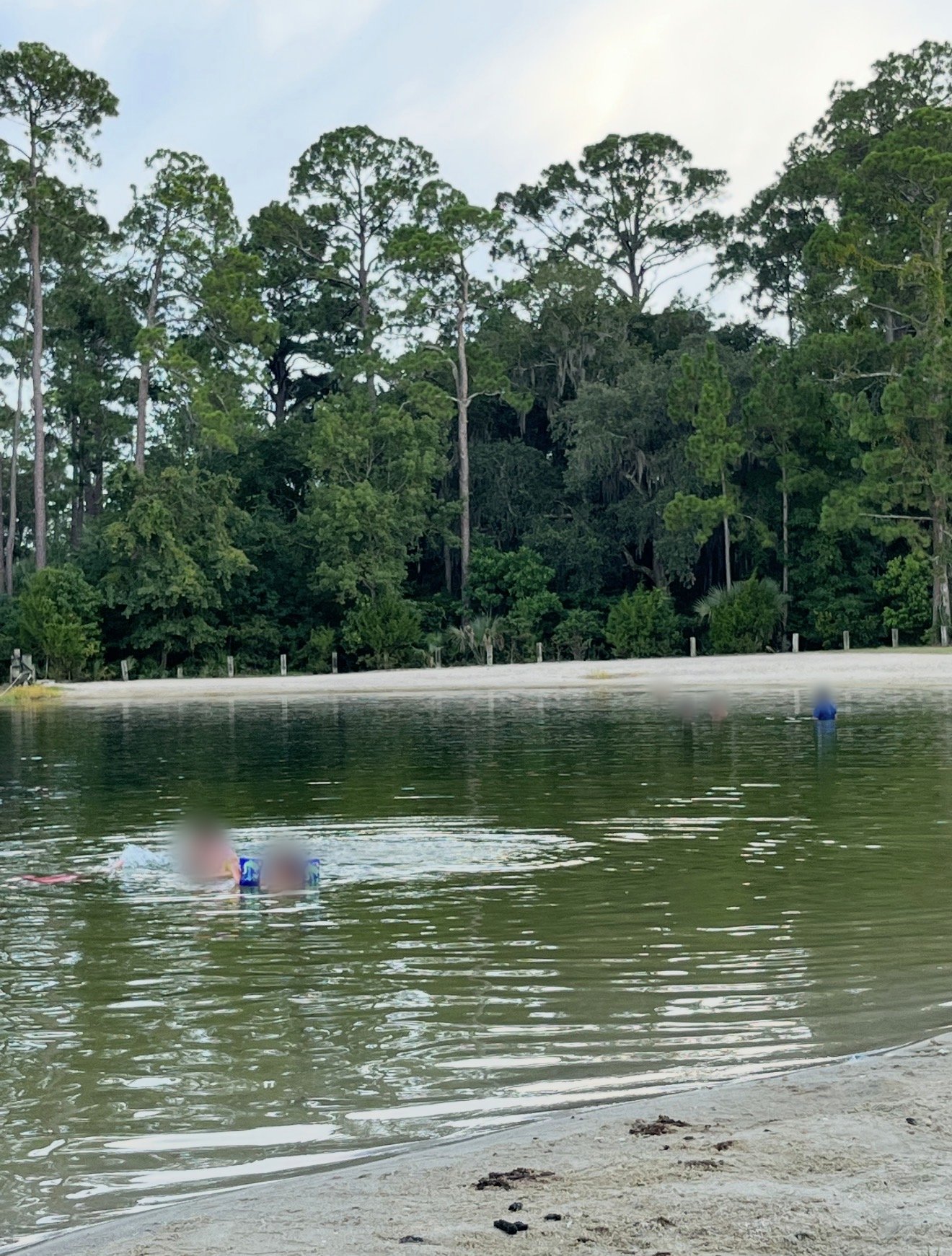 The sandy freshwater swim beach on Lake Cindee at Blythe Island Regional Park, Brunswick, Georgia, with a tall pine and cypress treeline across the water.
